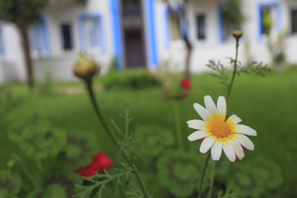 Akdeniz Beach Hotel Олудениз Екстериор снимка